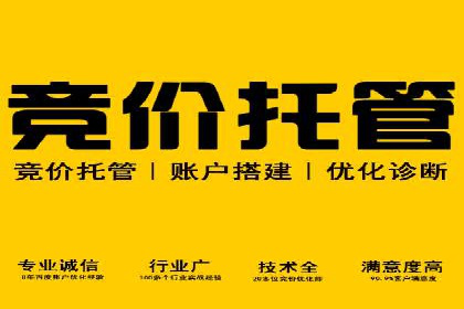 百度竞价赚钱秘诀：实战案例分析